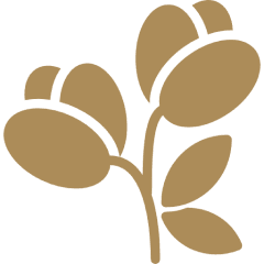 Gold rose buds on black background.