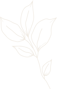 White outline of leaves on black background.