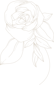 Outline drawing of a rose with leaves.
